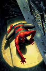 Spectacular Spider-Man Deluxe by Marvel - Deluxe Box Canvas sized 25x38 inches. Available from Whitewall Galleries